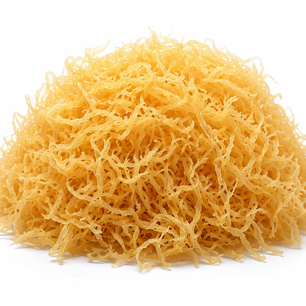 Sea Moss