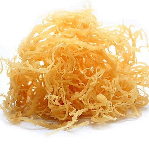 Sea Moss