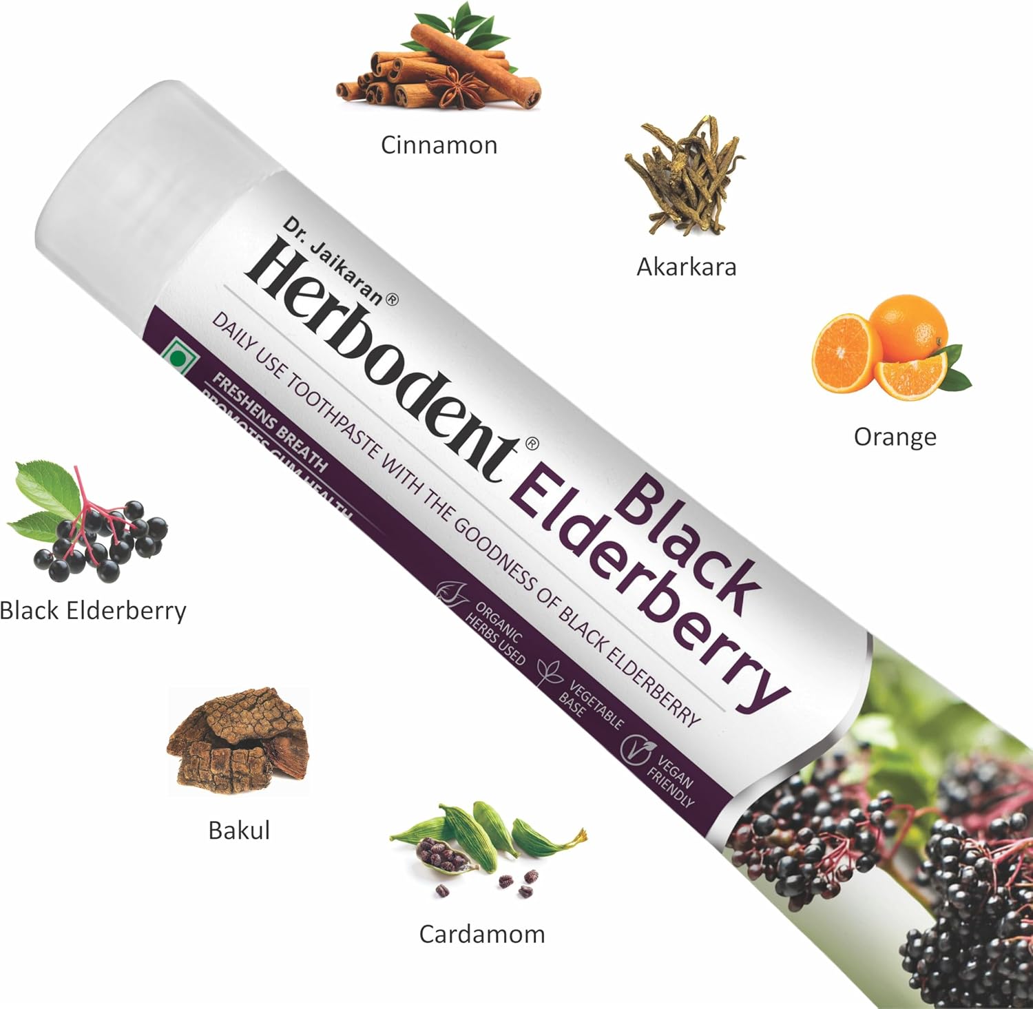 Natural Black Elderberry Toothpaste